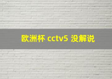 欧洲杯 cctv5 没解说